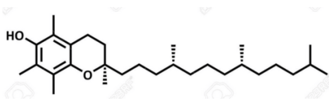 Struktur von Vitamin E: α-Tocopherol.